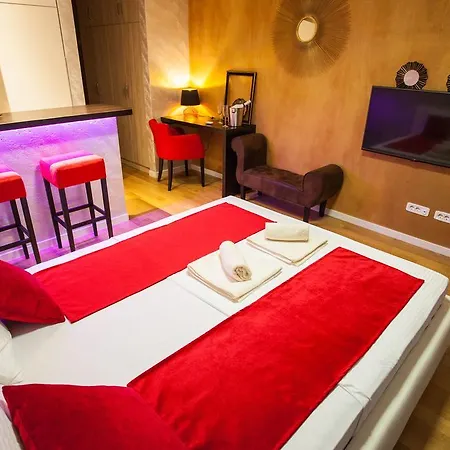 Gentleman Dog * ベオグラード