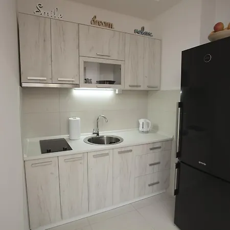 Gentleman Dog Belgrado