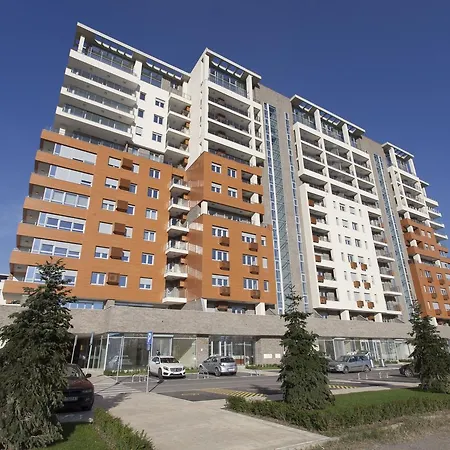 Gentleman Dog ベオグラード